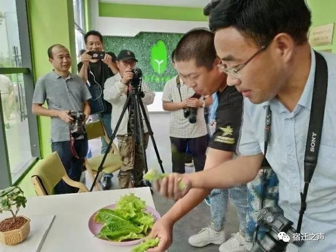 不可错过网眼看宿豫走在幸福的大道上网络文化活动