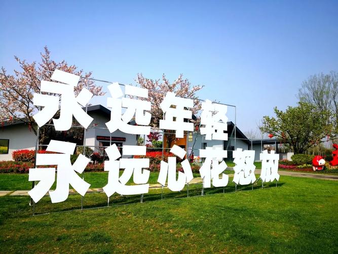 全年31个网络文化活动,等你来!